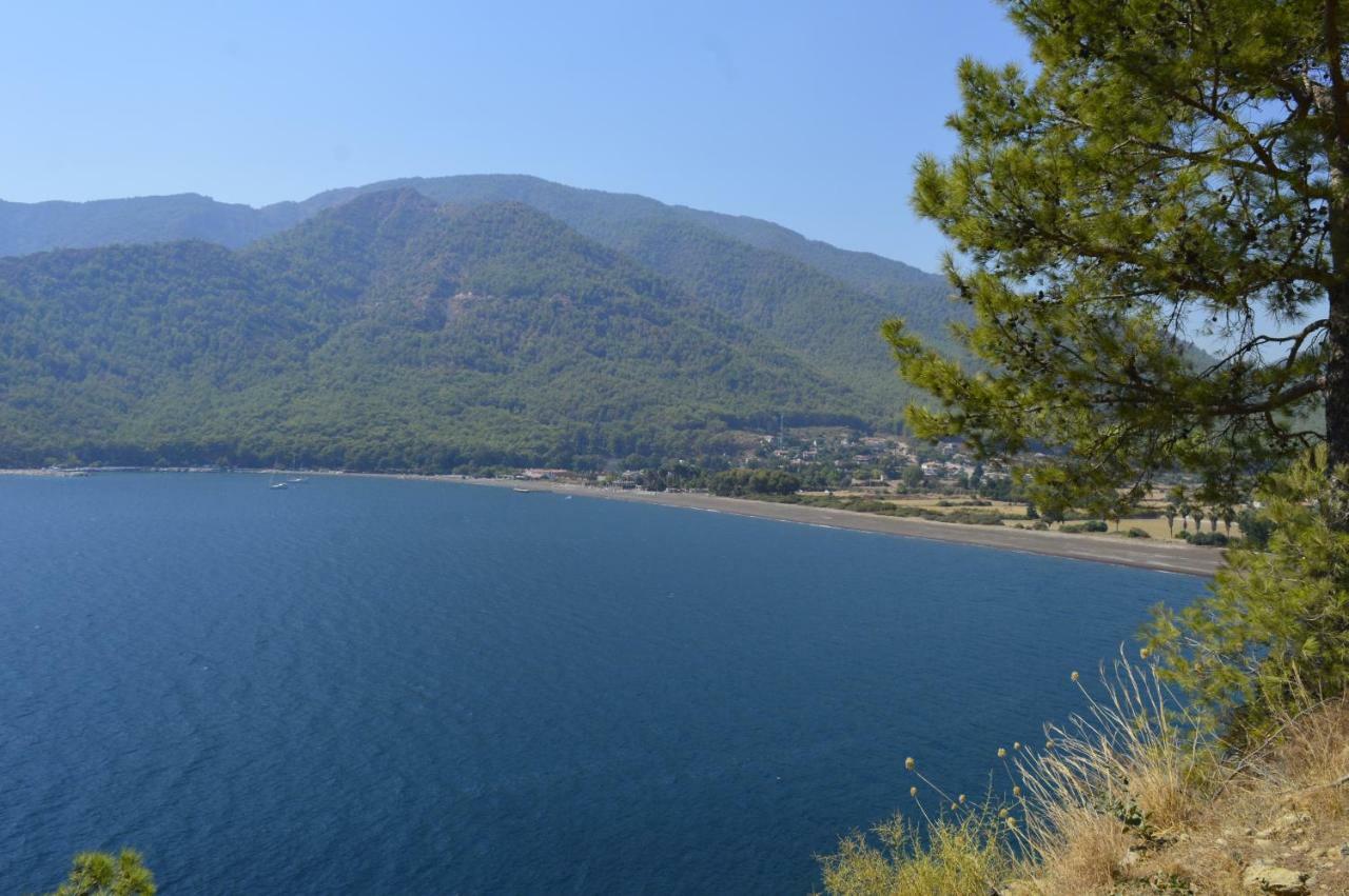 Erasmus Apart Hotel Dalyan Eksteriør billede